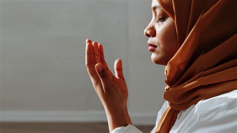 ¿Understanding Islam - Una Exploración Profunda de la Fe Musulmana y su Complejidad?